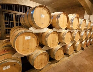 Uncork Mendoza