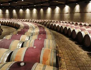 Uncork Mendoza on your Argentina trip
